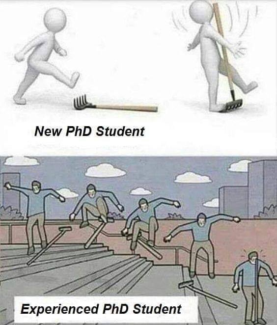 ilovephd memes