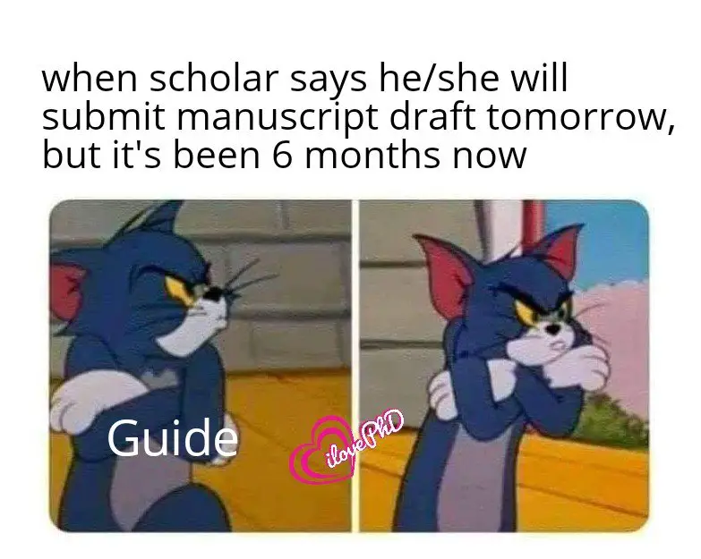 finishing thesis meme