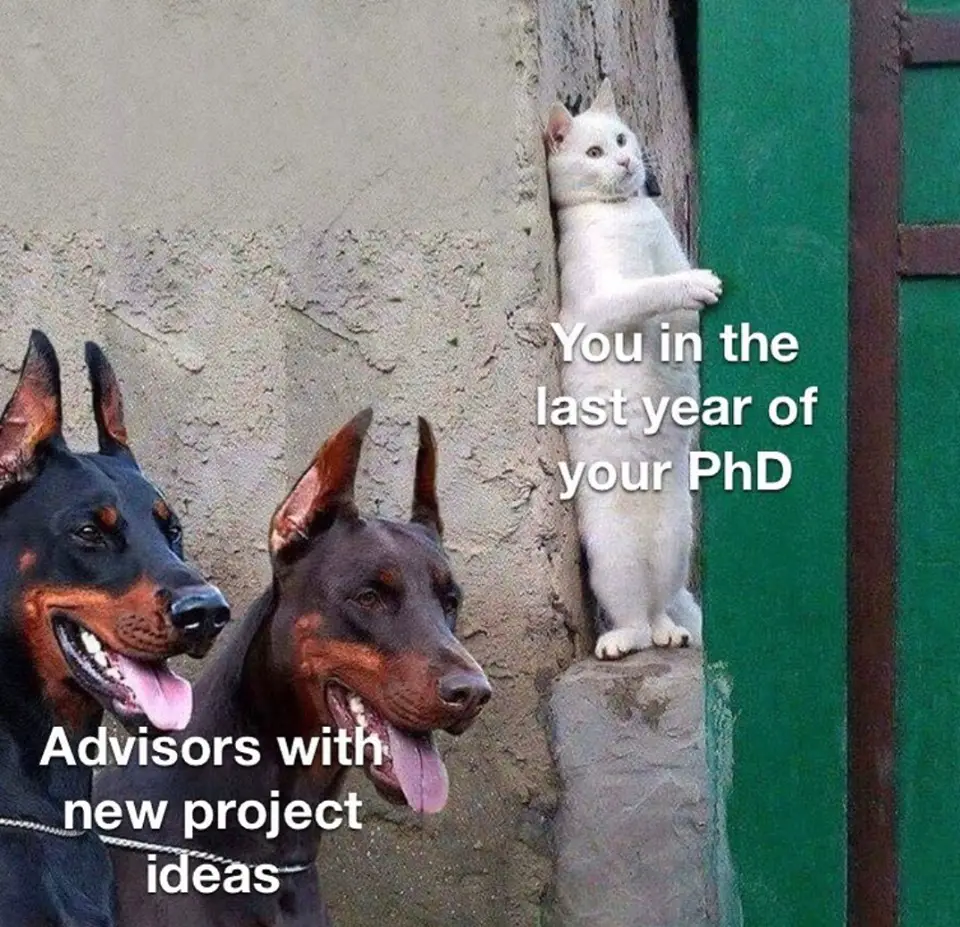 jokes about phd students