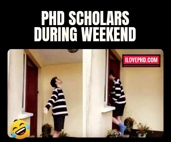 phd memes