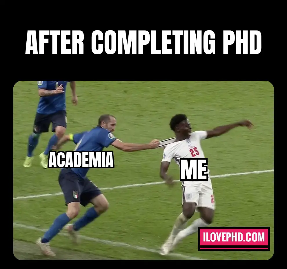 phd memes