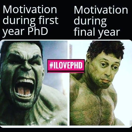 phd memes