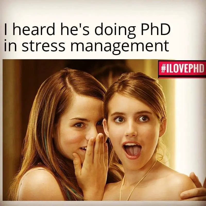 phd memes