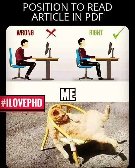 phd memes