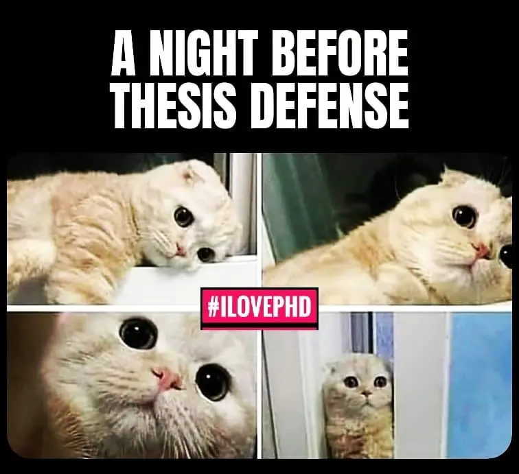 phd memes