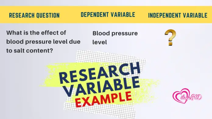 research variable types example