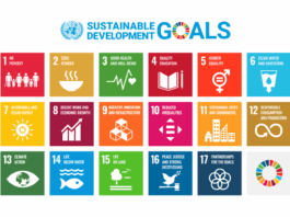 SDG Goals Image